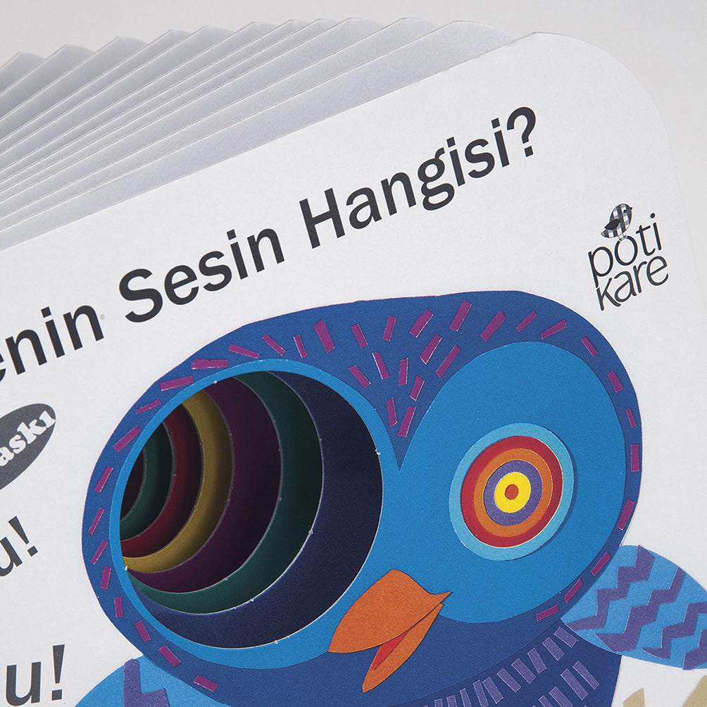 Senin Sesin Hangisi?